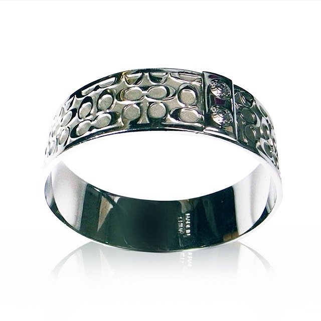 COACH (コーチ) シグネチャー シル