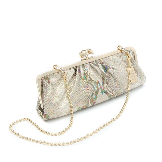 COACH (コーチ) メタリックレザー 