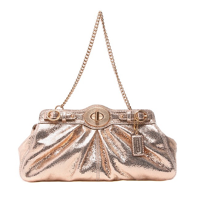 COACH (コーチ) ガーネットテクス